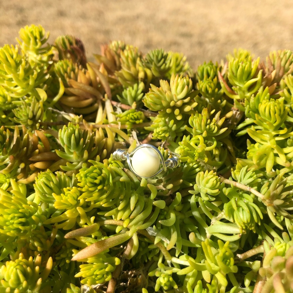 Silver White Horseshoe Shell Ring